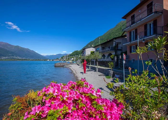 Imbarcadero - Happy Locarno